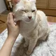 붐바쌈바리