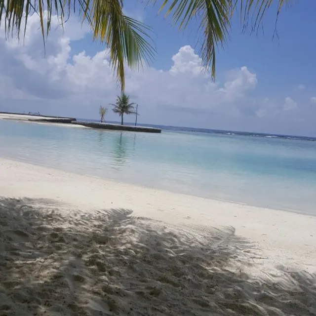 예쑤니