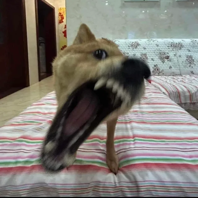 나가