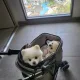 꼭용춘맘