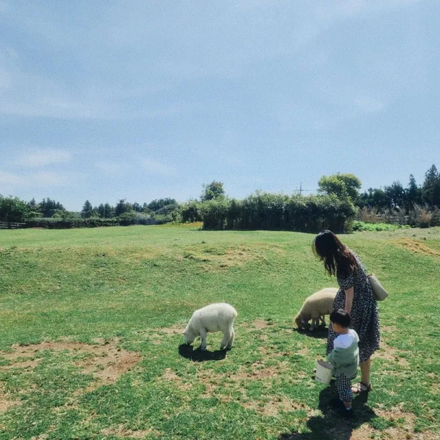 혀니팡