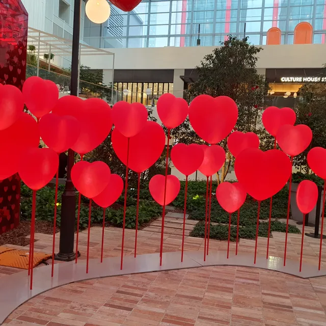 모라조