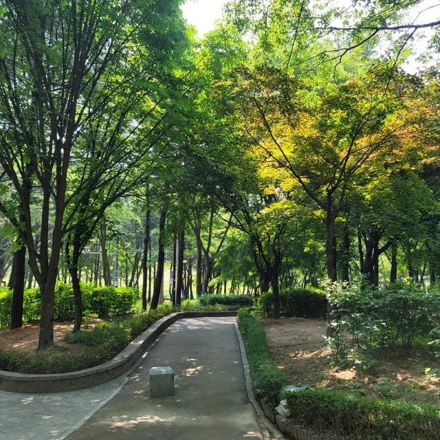 쿨파사