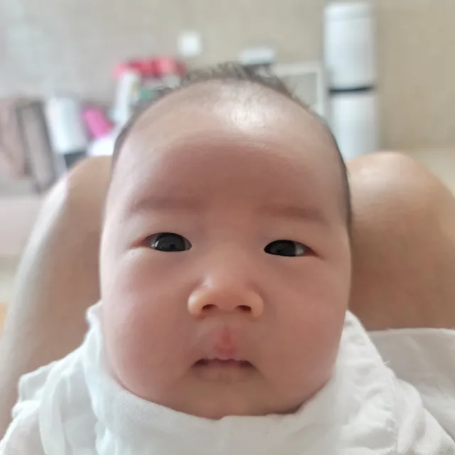 복숭이