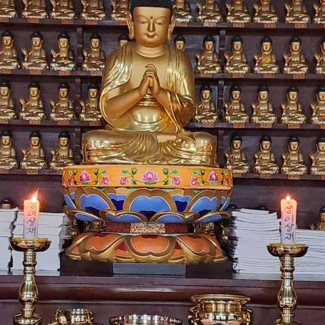 수연행