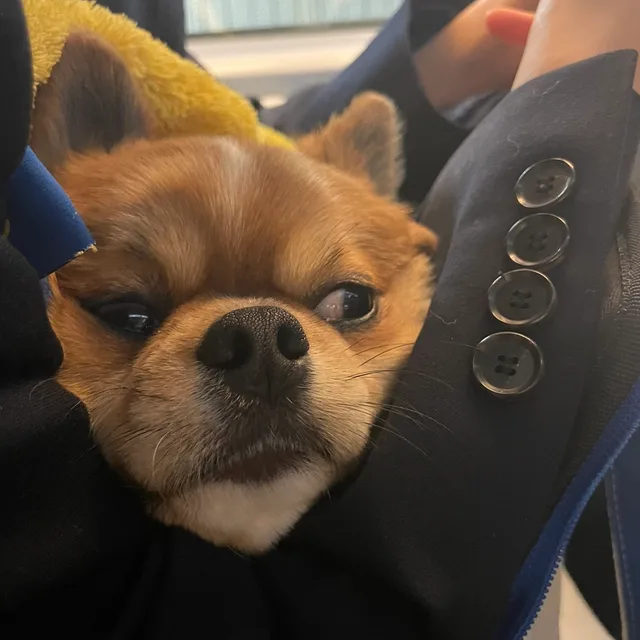 지칠땐배달