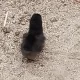 살려줘