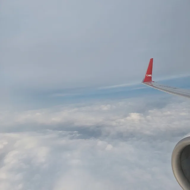 profile