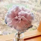 꼼꼬미