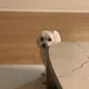 티끌모아백두산