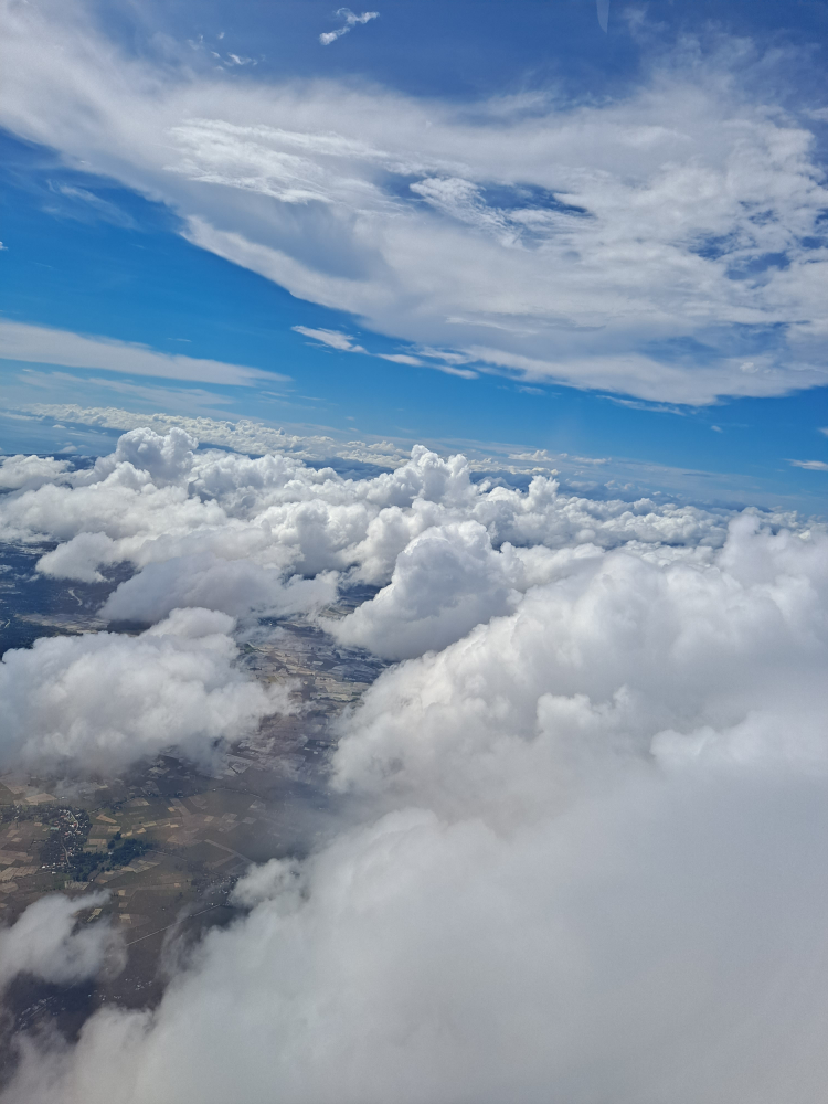 짱구