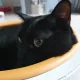 행복