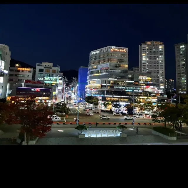 부산갈매기