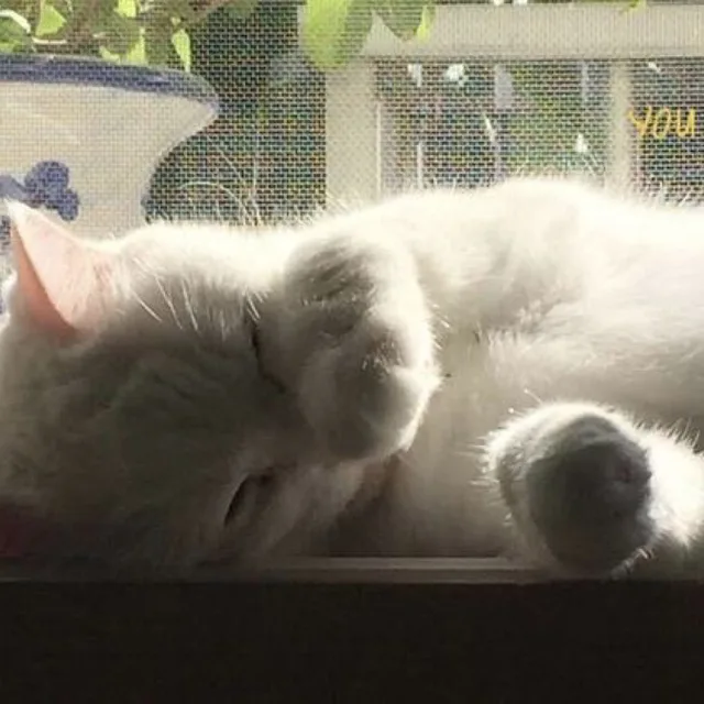 거래