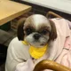 광자아빠