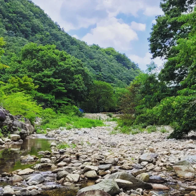 가릉빈가