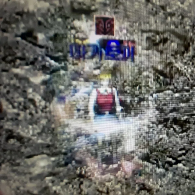 아기토끼