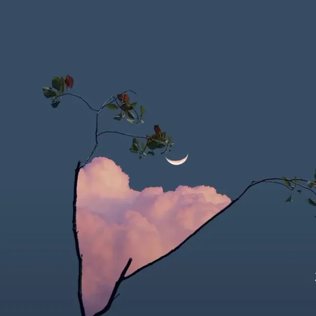 연두콩