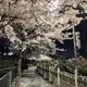 소달