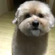 잼잼