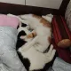 유유유