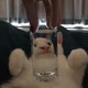 다파라