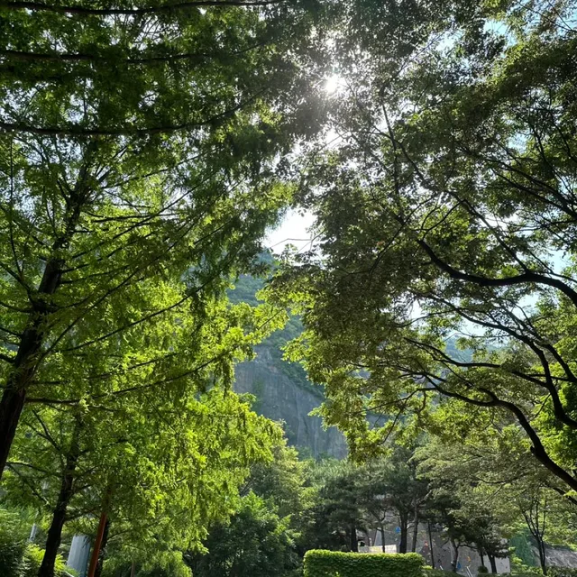 낙지야마모토아야최애