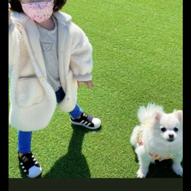 비아코코