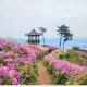 이루리