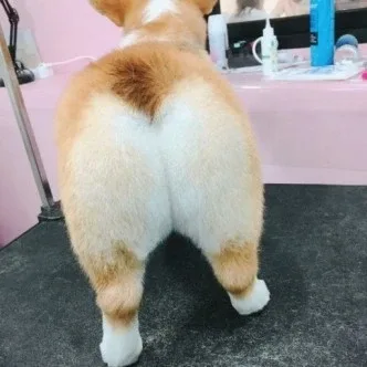 운성