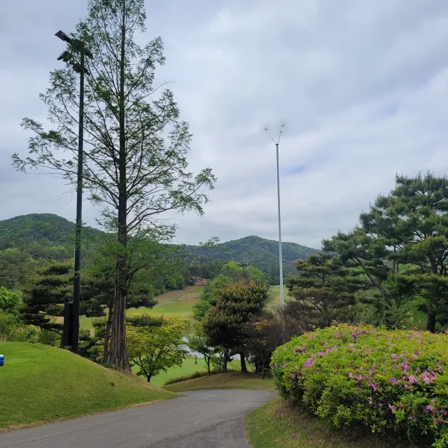 오키