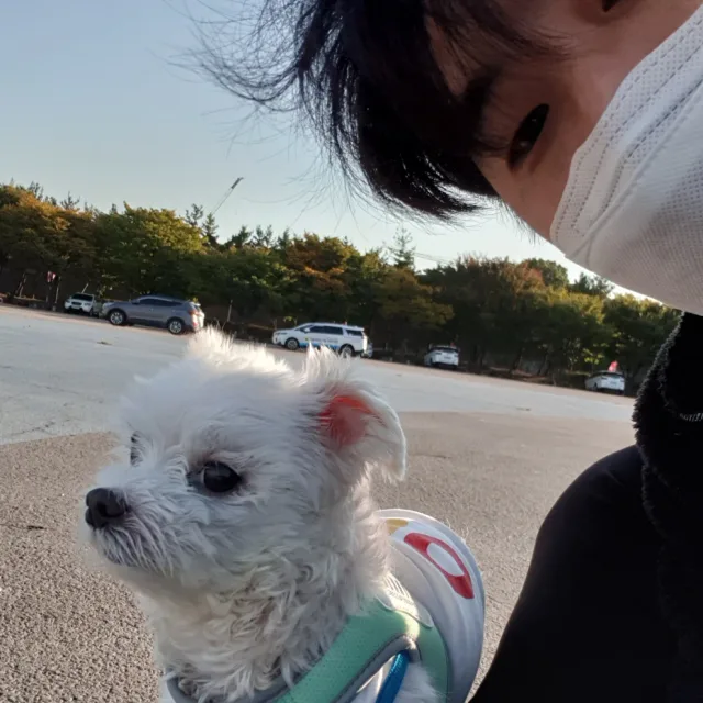 미스터Jun
