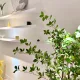 바세린