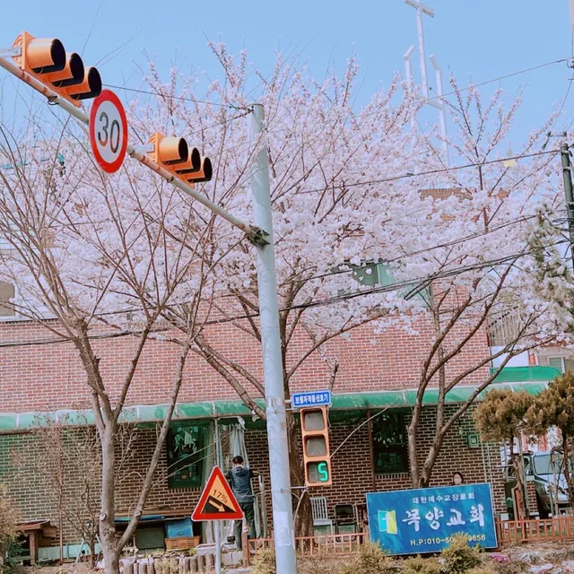 반달곰5022