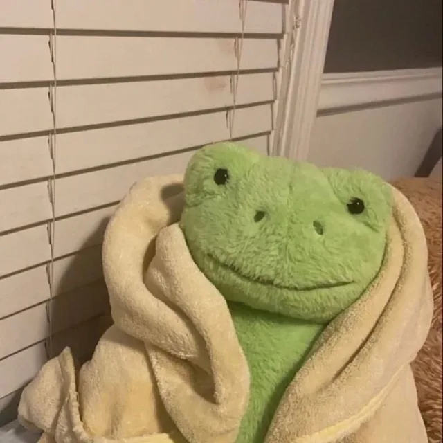 양말파는고양이