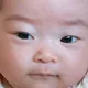 하늘에서내려온호룡이
