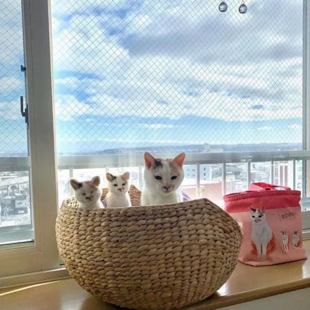 러블리쩡