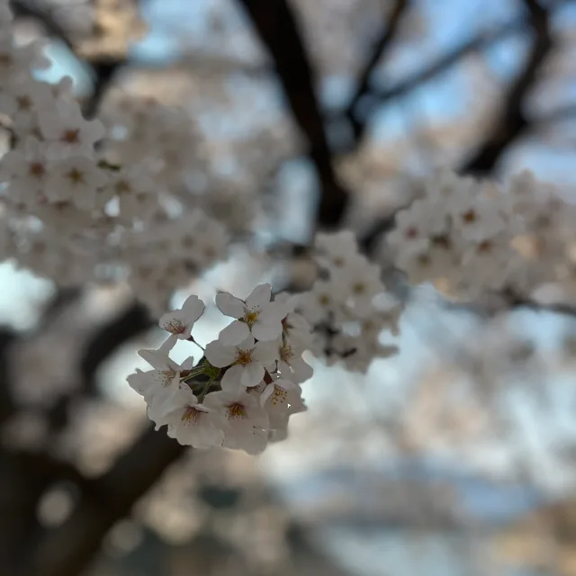 시골살아요