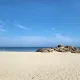 아메리카농