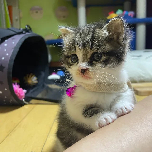 하늘보기
