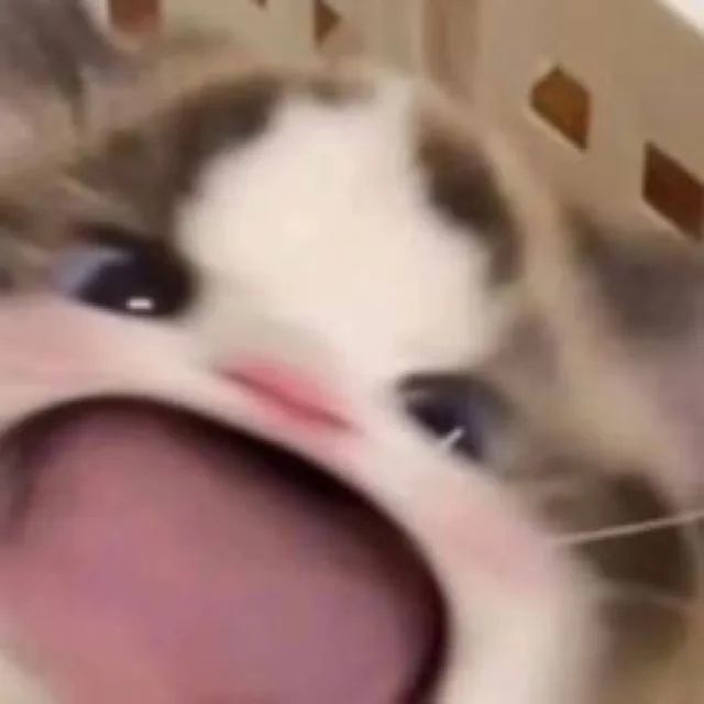 와앙