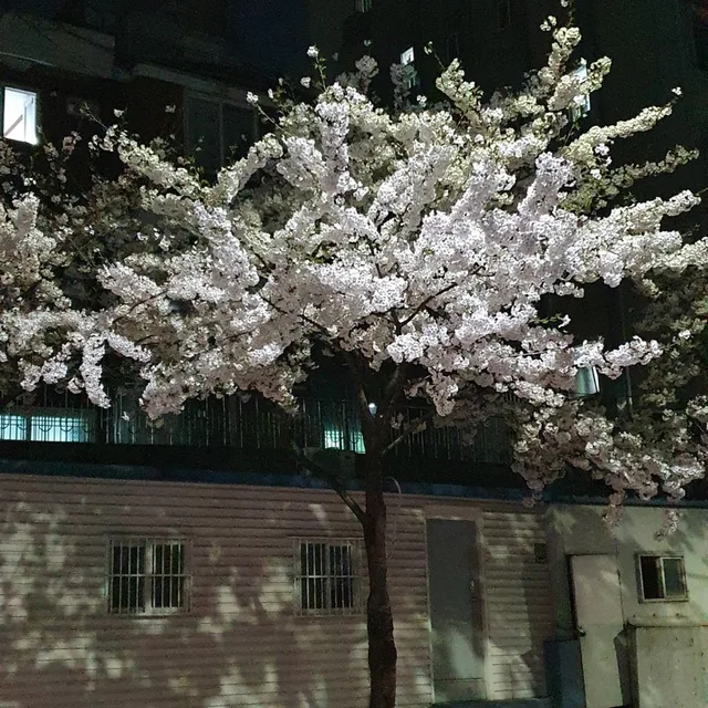 장난감