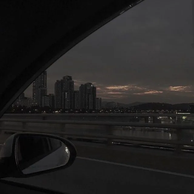 오아시스