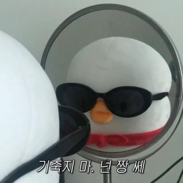 꼬꼬꼬