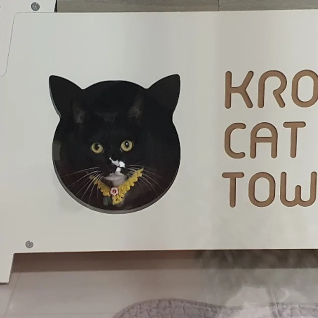 오렌지스틱