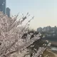 나물맘딘듕