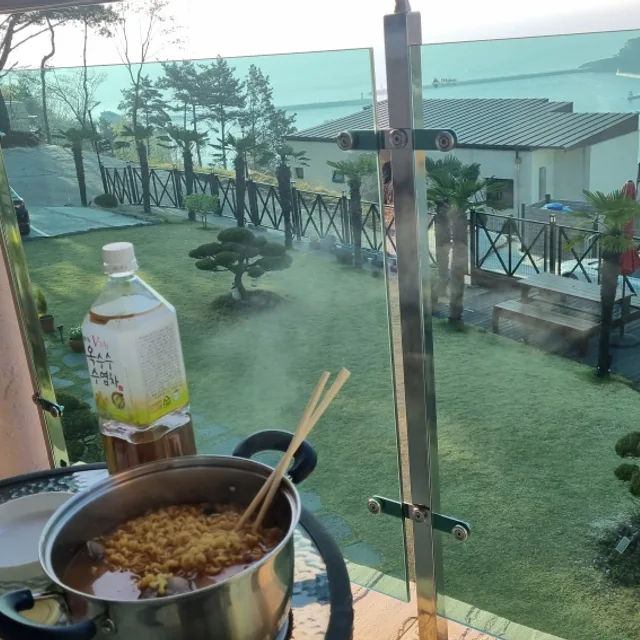 알락꼬리마도요