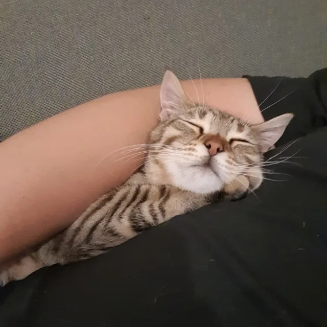 아아