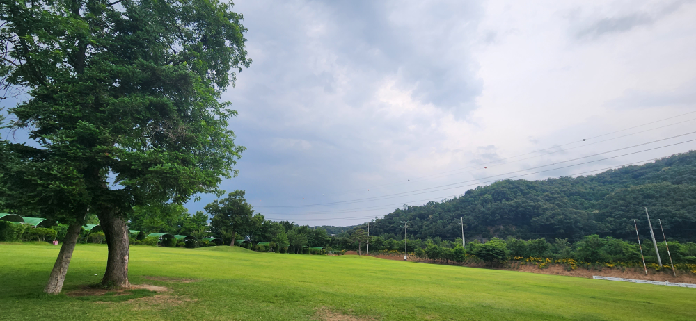 당근당근