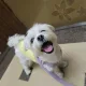 다아아앙근